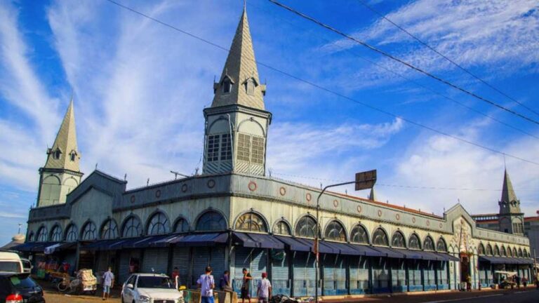 Natação em Belém Guia Completo das Melhores Escolas e Aulas na Capital Paraense