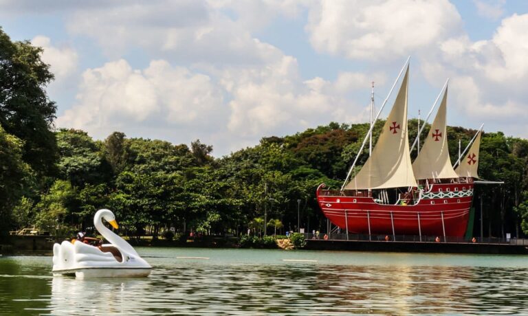 Natação em Campinas Guia Completo das Melhores Escolas e Benefícios