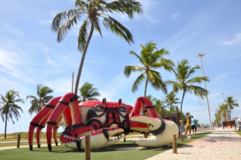 Natação em Aracaju Descubra os Melhores Locais e Aulas para Todos os Níveis em SE