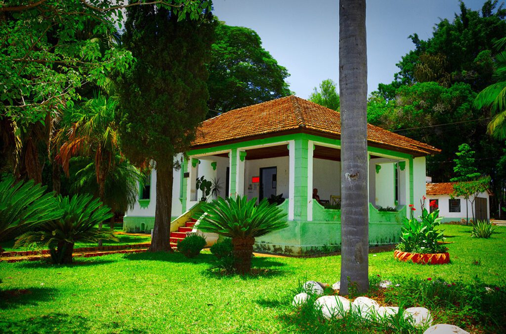 Natação em Limeira O Guia Completo