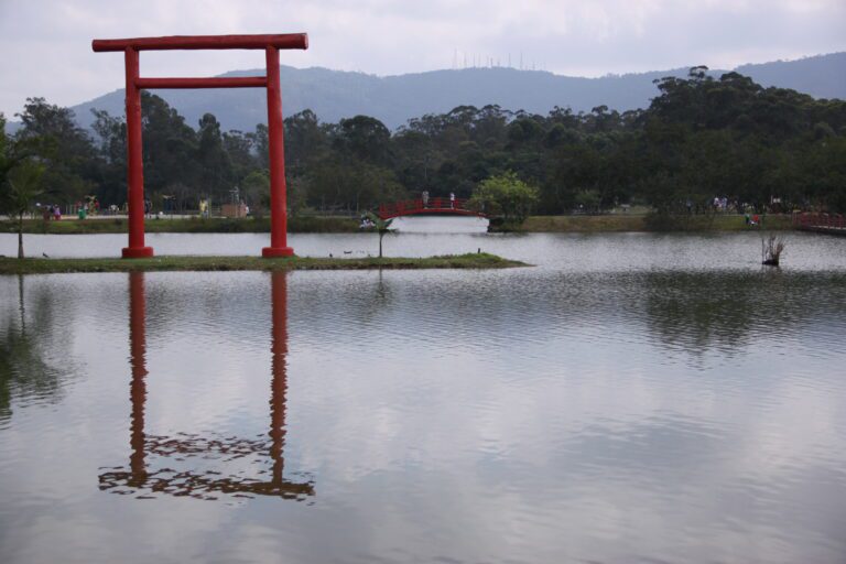 Natação em Mogi das Cruzes Seu Guia Completo para Aulas e Benefícios