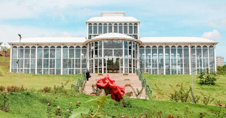 Natação em Sorocaba Melhores Escolas, Aulas e Benefícios para Todas as Idades